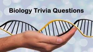 Among these were the spu. Science Trivia Questions Part 1 Topessaywriter
