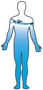 After 50, your body is sapped even more, with men at around 55 percent water and women at 47 percent. Functions Of Water In Human Body Whyiswaterimportant