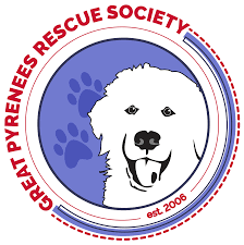 You may find the great pyrenees as low. Great Pyrenees Rescue Society Home