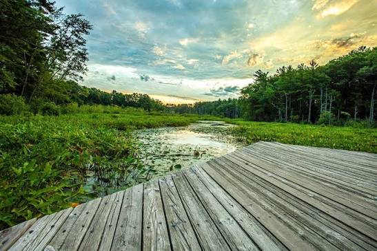 Broadmoor Wildlife Sanctuary
