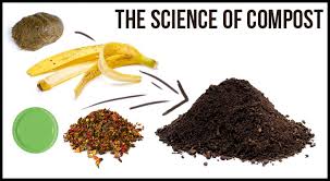 A small banana provides 27 mg magnesium, which may help boost mood. The Science Of Compost Basic To Advanced