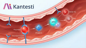 Image result for Protein C Deficiency