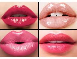 Image result for lip