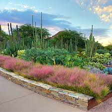 Where is the desert botanical garden in phoenix arizona. Desert Botanical Garden Sunset Magazine