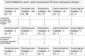 Image result for Musculoskeletal Manipulation