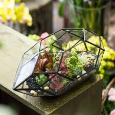 Large Irregular Polyhedral Geometric Glass Terrarium Lantern Succulent Plant Flowerpot 1 Diy Succulent Terrarium Succulent Terrarium Glass Terrarium Containers