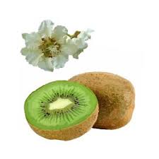 Image result for Gossypioides kirkii