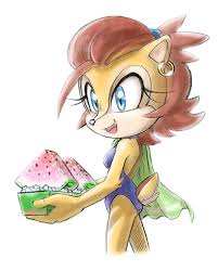 Summer Sal Sonic The Hedgehog Sonic Sonic The Hedgehog Hedgehog