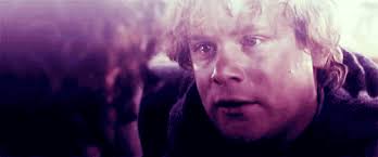 We did not find results for: Love Triangle Funny Lord Of The Rings Gif Wifflegif