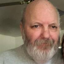 Neal Richard Stein Obituary