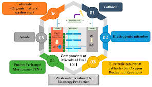 Connect to customers, employees and vendors with online automation, to achieve better productivity, higher revenue and lower costs. Energies Special Issue Biomass Processing For Biofuels Bioenergy And Chemicals