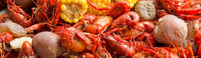 Maybe you would like to learn more about one of these? The Ultimate Guide To The Crawfish Music Festival