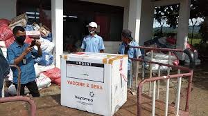We did not find results for: 1 631 Vial Vaksin Sinovac Gelombang Kedua Tiba Di Labuan Bajo Pos Kupang