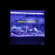 Check spelling or type a new query. Hot Deal Lampu Hpl Aquarium Air Laut 40 80cm 75 Watt 3 Mode Bukalapak Com Inkuiri Com