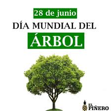 Sin embargo, hay que diferenciar esta fecha de otra celebración: Facebook