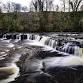 January Friday Walk - Aysgarth Falls 11 miles /17km event image