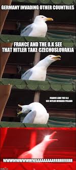 Inhaling Seagull Meme - Imgflip