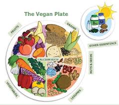The Vegan Plate Vegan Plate How To Become Vegan Whole Foods Vegan