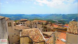 Image result for Sutera debilis