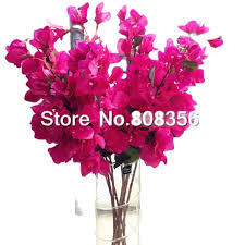 May flowers fresh flowers beautiful flowers floral flowers spring flowers plants are friends arte floral feng shui planting flowers. 6pcs Silk Bougainvillea Tree Branches Artificial Hot Pink Color Fake Bougainvillea Spectabilis Willd Flower 31 5 Flowers For Flower For Weddingflower Flower Aliexpress