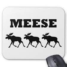 We did not find results for: Plural Form Of The Word Moose Mutabikh