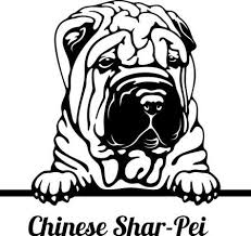 Shar pei coloring page to color, print or download. 131 Sharpei Stock Illustrations Cliparts And Royalty Free Sharpei Vectors