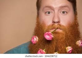 73,424 Beard Flowers Royalty-Free Images, Stock Photos & Pictures