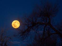Each full moon has a name, except however, the moon can appear to be full a day before or after while more than 98% of the moon's disc is illuminated. Two Full Moons This Halloween Month Kicking Of With Blood Moon Oct 1 Casper Wy Oil City News
