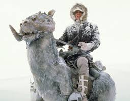 8 Star Wars Creatures We Want To Hitch A Ride On Starwars Com Star Wars Film Empire Strike Star Wars Han Solo