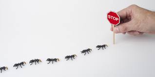 Durch die infektionschutzgesetz werden die gesetzlichen pflichten zur verhütung und vermeidung von infektionskrankheiten beim menschen geregelt. Infektionsschutzgesetz Ifsg Informationen Fur Antragsteller Umweltbundesamt