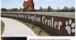 New Animal Shelters Pet Wise Communities Page 2 Animal Shelter Shelter Dogs Dogs
