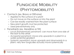 Field Crops Fungicide Information Wisconsin Field Crops