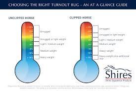 Shires Guide To Turnout Rugs Shires Equestrian Blog