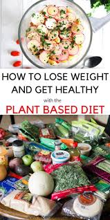 Plant Based Diet On A Budget For Beginners Momma Fit Lyndsey Plant Based Diet Recipes Plant Based Diet Whole Food Recipes