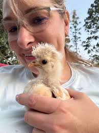 I'm looking to change the groups picture. If anyone has a pic they would  like to be used please post