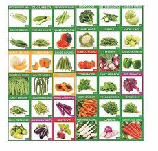 We did not find results for: How To Sow Seeds In 10 Easy Steps With Pictures Dengarden