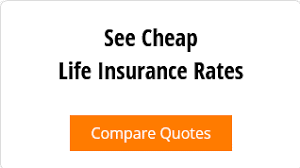 According to information supplied by the company, western national mutual insurance company offers personal and commercial insurance products and services. Life Insurance Company Ratings 2021 Policymutual Com