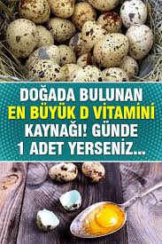 Dogada Bulunan En Buyuk D Vitamini Kaynagi Gunde 1 Adet Yerseniz Bildircin Metabolik Diyet Dogal Saglik