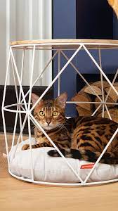 beeztees kattenmand kaju bijzettafeltje stoelen interieur