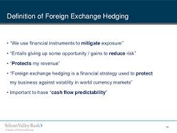 Avoiding Risky Business Fx Hedging Best Practices