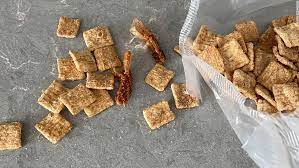 #cat #caturday #cute #cute animals #kitten #so cute #catlover #cute kitty #kitties #cats #toast #cinnamon toast crunch #toast post. P2cvf8yx1tqjkm