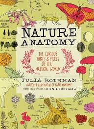 Nature Anatomy A Glorious Illustrated Love Letter To Curiosity And The Magic Of Our World Brain Pickings Books Nature Journal Living Books