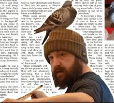 PIGEONS GET WARM WELCOME FROM FAMILY