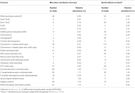 The loki's castle field hosts a unique arctic vent fauna (pedersen et al. Frontiers Novel Barite Chimneys At The Loki S Castle Vent Field Shed Light On Key Factors Shaping Microbial Communities And Functions In Hydrothermal Systems Microbiology