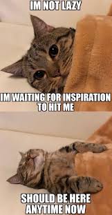 My Excuse To Sleep Longer Funny Animal Jokes Cute Cat Memes Animal Jokes