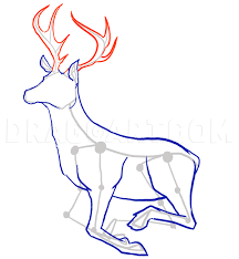 Fill in the side of the face. How To Draw Deer Drawing Deer Step By Step Drawing Guide By Mauacheron Dragoart Com