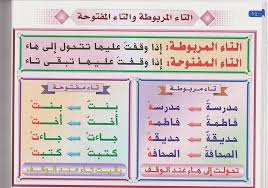 تحميل كتاب اللغة العربية للسنة الخامسة ابتدائي Pdf تونس