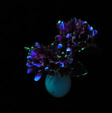 Glow in the Dark Flowers - Hobbies on a Budget