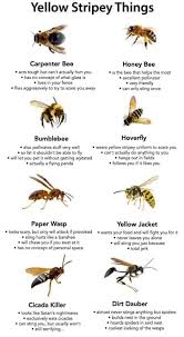 We're here to offer our professional products and advice for all your pest control and lawn care needs. Bugtime Termite And Pest Control Posts Facebook