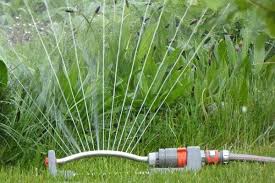 Gardena hat alles für die bewässerung deines gartens. Smart Bewassern Okologisch Sinnvoll Oder Nur Bequem Umwelt Verbraucherservice Bayern